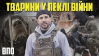 ОСТАННІЙ ШАНС НА ПОРЯТУНОКЕвакуація тварин під вогнем | ВПО Куп’янськ @BiedniakovUA