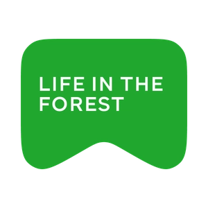 [M] Life in the Forest
