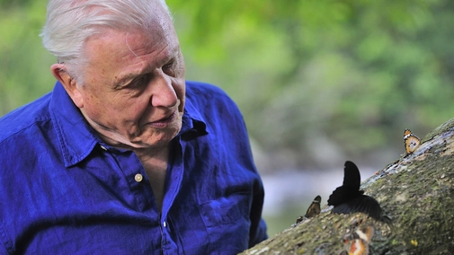 Attenborough’s Global Adventure