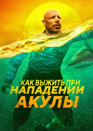 Как выжить при нападении акулы