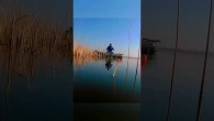 Ловлю на поплавок карася в камыше