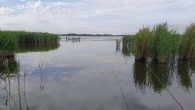 Літня спека а карась так і пре