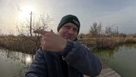 Он той гад обловлює мене коропом