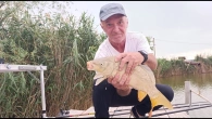 АДМІРАЛ ПЕРЕГАР валить коропів одного за одним