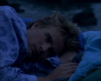 Дикие цветы (Полевые цветы)