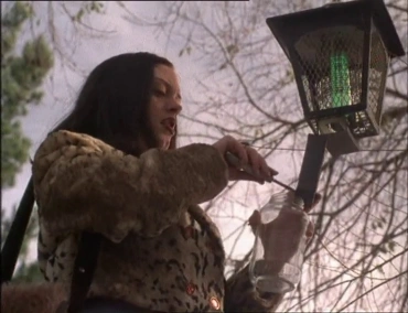 Lewis & Clark & George