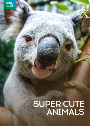 BBC: Super cute animals