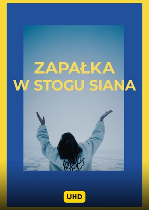 Zapałka w stogu siana UHD