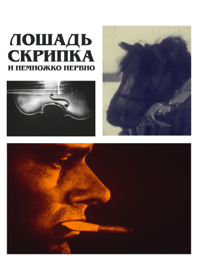 Лошадь, скрипка... и немножко нервно