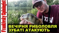 Вечірня риболовля на FishUp: яку обрати приманку, щоб зловити окуня і судака!
