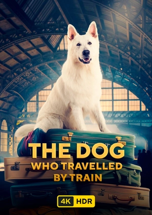 The Dog Who Travelled by Train UHD HDR