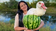 Duck with Fruit in Watermelon baked in a Tandoor! Recipe from a Fairy Tale