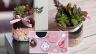 DIY Simple Succulent Mason Jar
