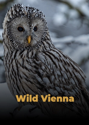 Wild Vienna