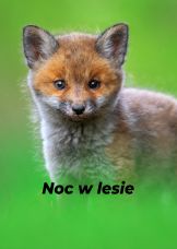 Noc w lesie — plakat
