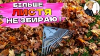 ЧУДОВЕ РІШЕННЯ - Опале листя тепер не збираю, а сад отримує користь!