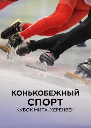 Конькобежный спорт. Кубок мира. Херенвен