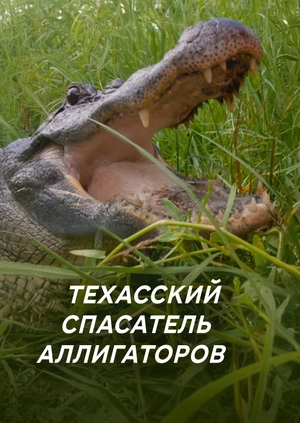 Техасский спасатель аллигаторов