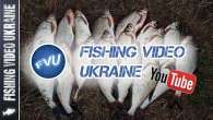 FishingVideoUkraine - "НА ОЗЕРАХ, РІЧКАХ, ЧОВНАХ І БЕРЕГАХ!" @FVU #fishing #рибалкавукраїні #feeder