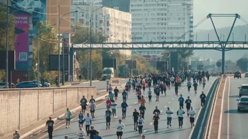 Куда вы все бежите?