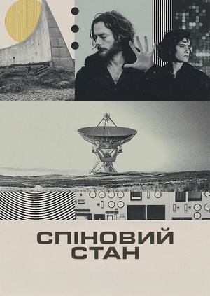 Спіновий стан