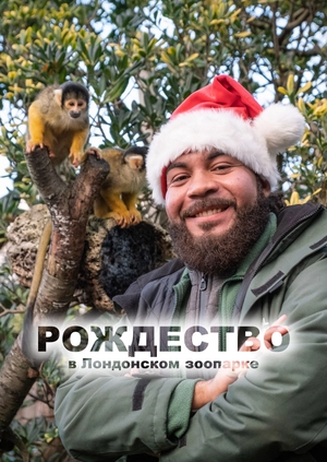 Рождество в Лондонском зоопарке