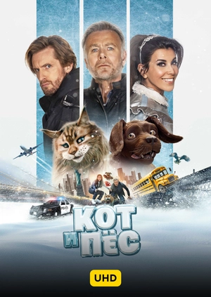 Кот и пес UHD