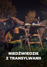 Niedźwiedzie z Transylwanii — plakat