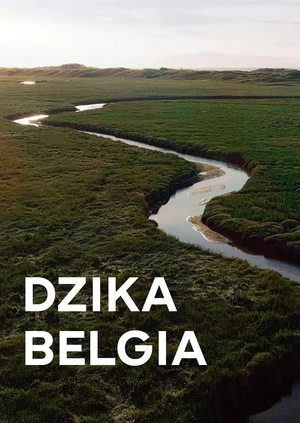 Dzika Belgia