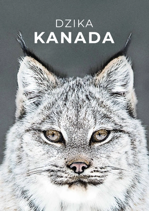 Dzika Kanada