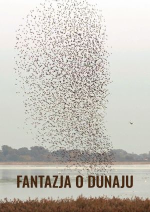 Fantazja o Dunaju — plakat