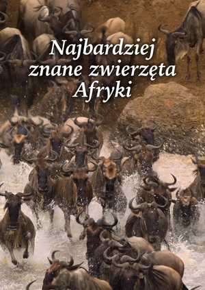 Najbardziej znane zwierzęta Afryki