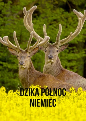 Dzika północ Niemiec