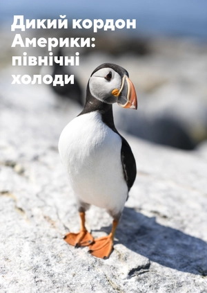 Дикий кордон Америки: північні холоди