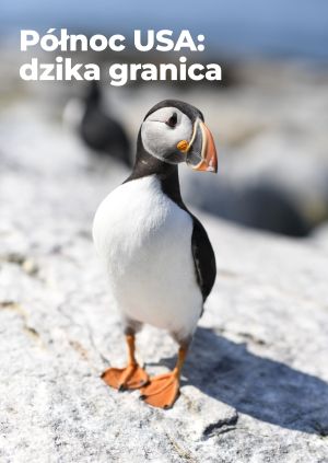 Północ USA: dzika granica — plakat