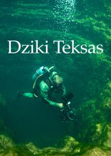 Dziki Teksas — plakat