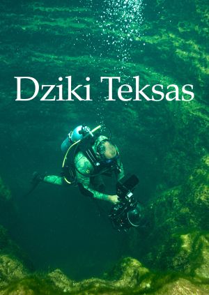 Dziki Teksas — plakat