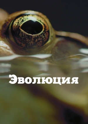 Эволюция