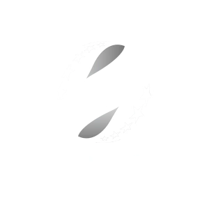 Полтава — Полісся