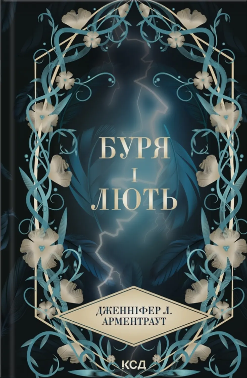 Обкладинка "Буря і лють"