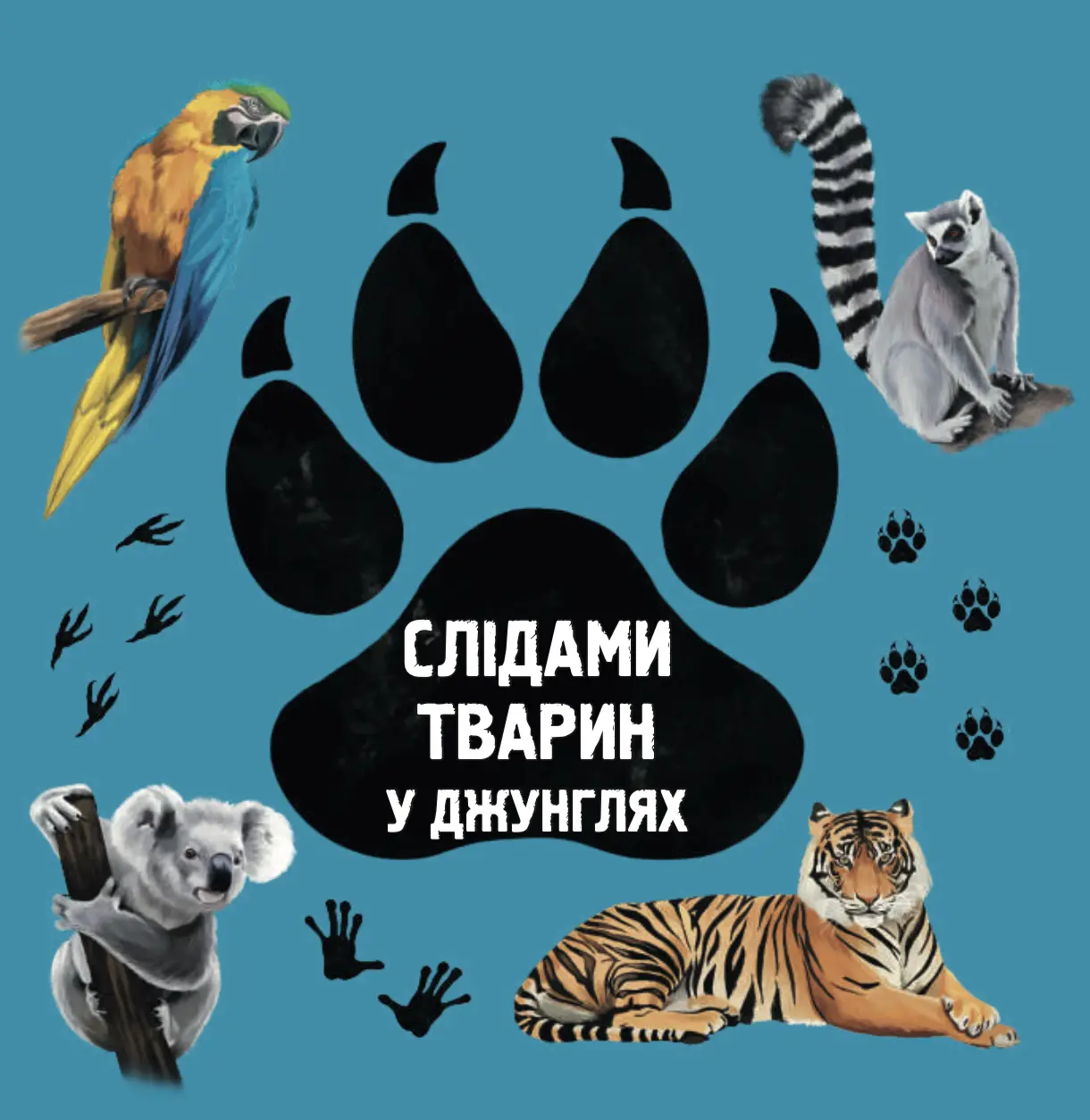 Слідами тварин. У джунглях