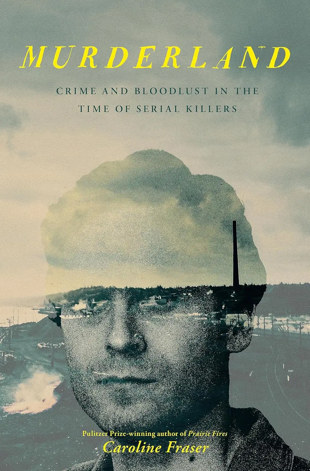 Murderland: Crime and Bloodlust in the Time of Serial Killers