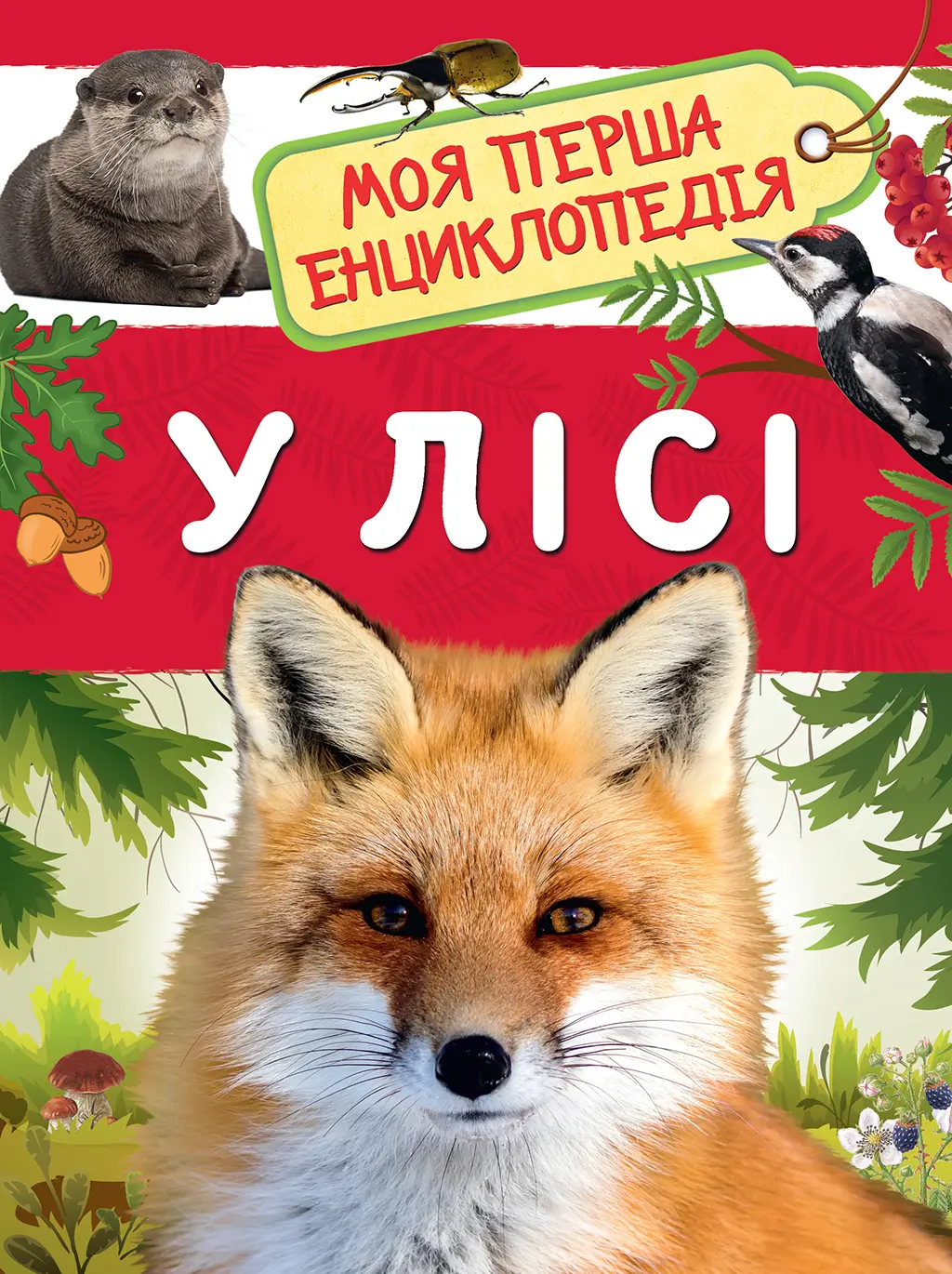 Обкладинка "У лісі. Моя перша енциклопедія"