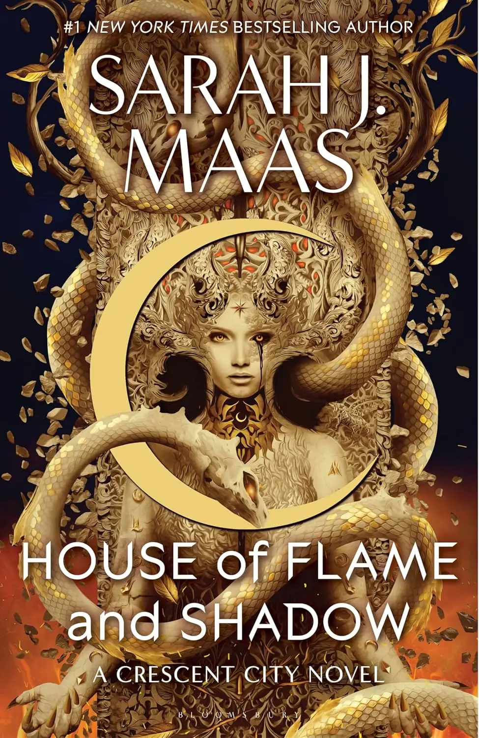 Обкладинка "House of Flame and Shadow"