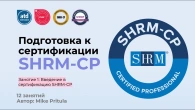 Серія 717