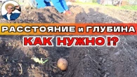 Тест Драйв Картофелесажалки Оправдает Ли Ожидания