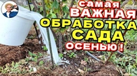 Советы ОКТЯБРЬ НОЯБРЬ: Значительно Увеличат Урожай если осенью сделать так!