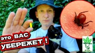 ЭТА ТАБЛЕТКА СПАСЕТ ВАМ ЖИЗНЬ! Она должна быть У КАЖДОГО с собой с весны до зимы. Защита от клеща.