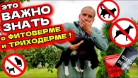 НЕ ПРИМЕНЯЙТЕ ФИТОВЕРМ ПОКА НЕ ПОСМОТРИТЕ ВИДЕО!