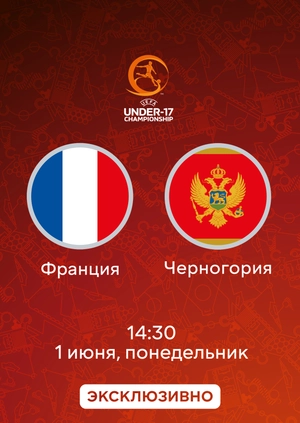 Франция — Черногория